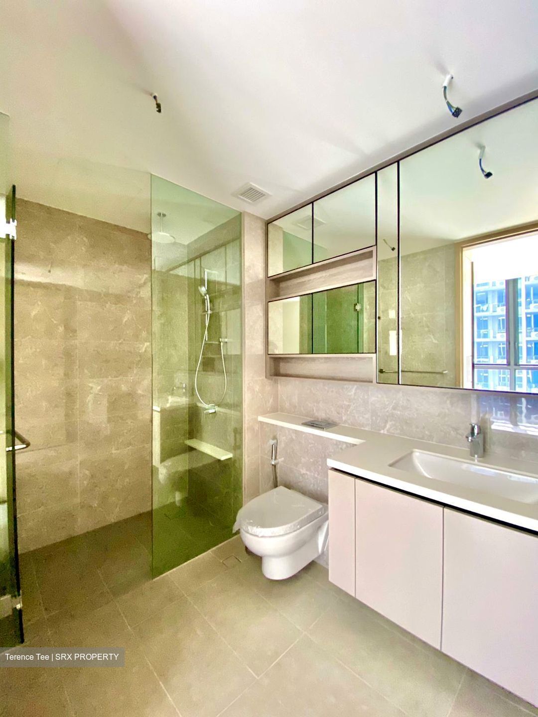 The Tapestry (D18), Condominium #420317251